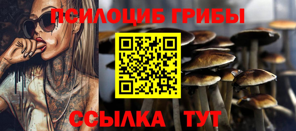 Псилоцибиновые грибы MAGIC MUSHROOMS  Вход с VPN  Тобольск 