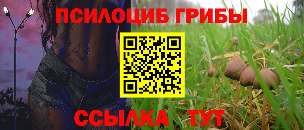 Галлюциногенные грибы мицелий Тобольск